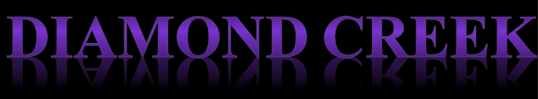 Diamond Creek Business Credit